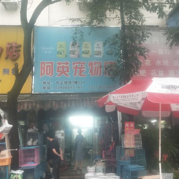 阿英宠物店:温州市鹿城区将军桥附近