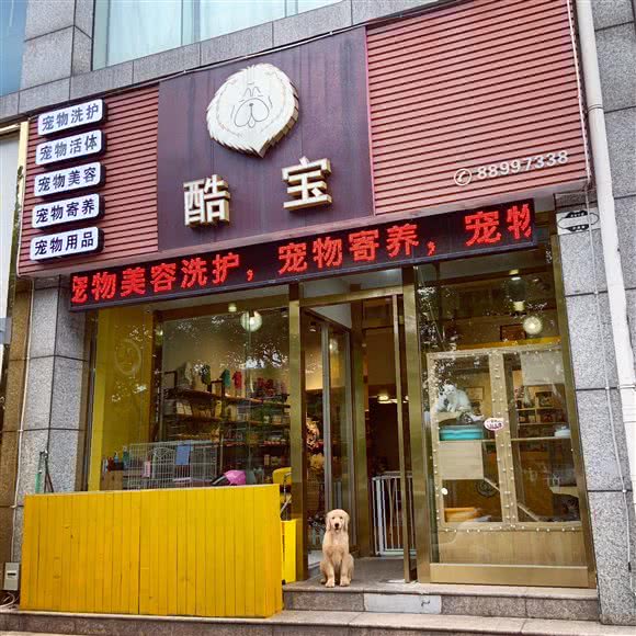 酷宝面包店:温州市鹿城区车站大道附近