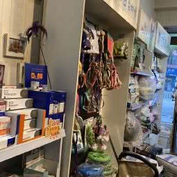 铲屎官宠物馆:温州市鹿城区车站大道附近