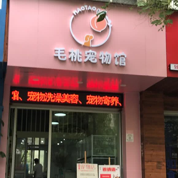 毛桃宠物馆:温州市鹿城区车站大道附近