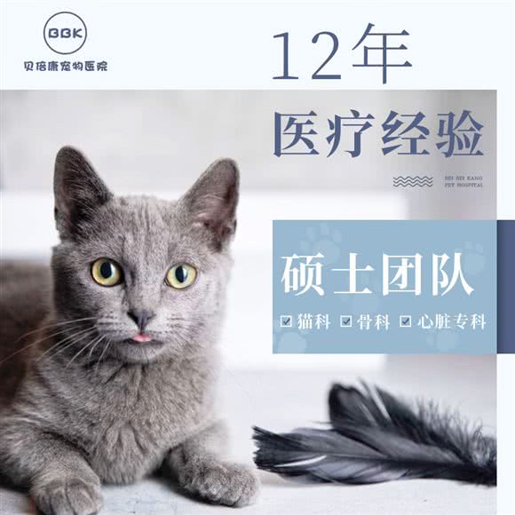 贝倍康宠物医院(时代万康店):温州市鹿城区车站大道附近