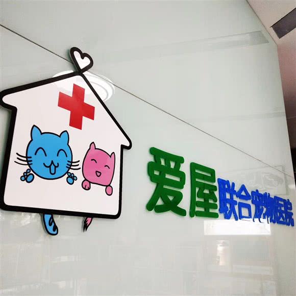 爱屋联合宠物医院(车站大道店):温州市鹿城区车站大道附近