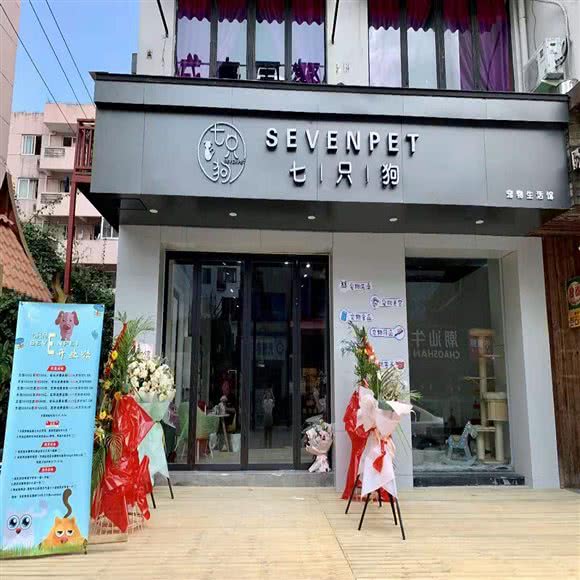 七只狗sevenpet宠物生活馆:温州市鹿城区东瓯智库附近