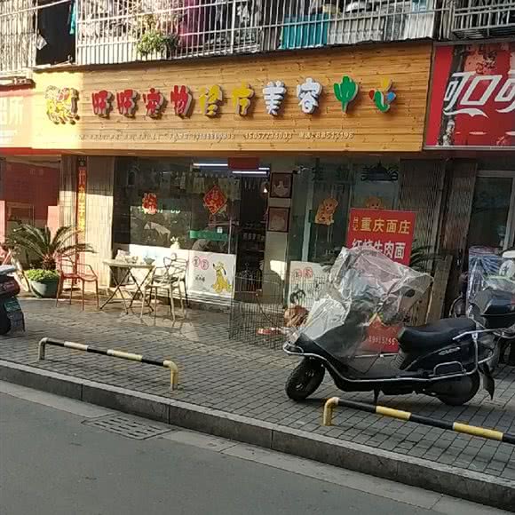 旺旺宠物:温州市鹿城区半腰桥附近