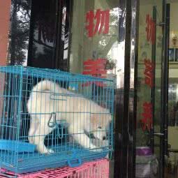 宠爱生活馆(人民西路店):温州市鹿城区信河街附近