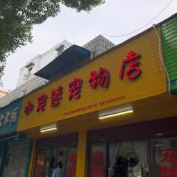 小宠迷宠物店:温州市鹿城区黄龙住宅区附近