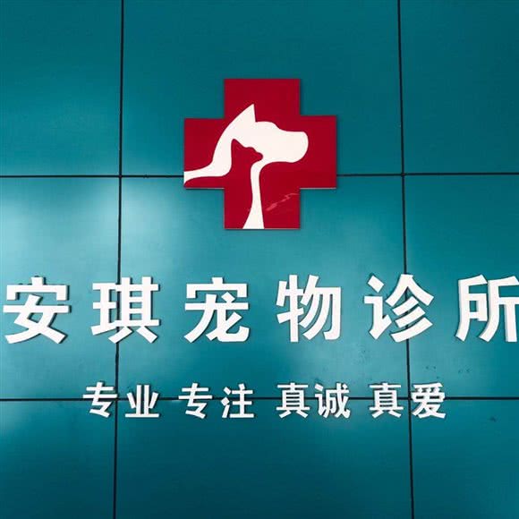 安琪宠物诊所:温州市鹿城区汤家桥附近