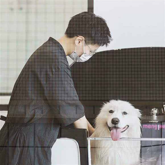 DOG CLUB狗狗俱乐部(月湖店):温州市鹿城区望江路附近