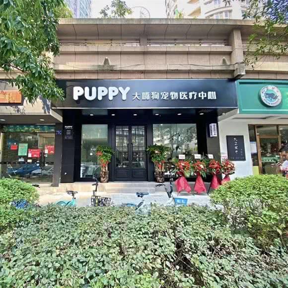 PUPPY大嘴狗宠物医疗中心(四营堂巷店):温州市鹿城区望江路附近