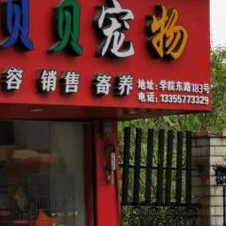 金贝贝宠物:温州市鹿城区学院路附近