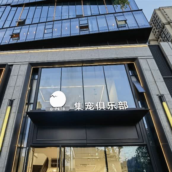 集宠俱乐部:温州市鹿城区上陡门附近