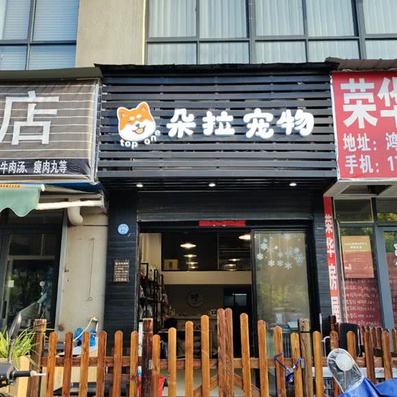 朵拉狗狗:温州市鹿城区杨府山附近