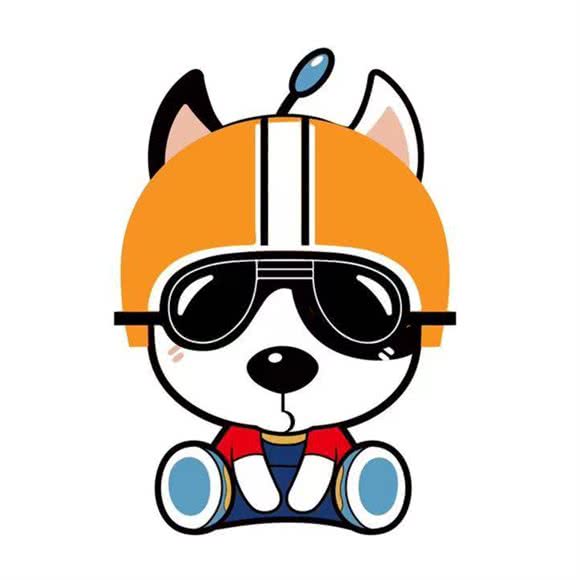 搞毛宠物店:北京城区朝阳区望京附近