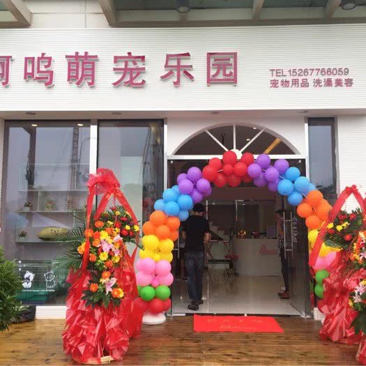 啊呜萌宠乐园:温州市龙湾区万达广场附近