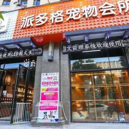 派多格宠物会所:温州市龙湾区状元附近