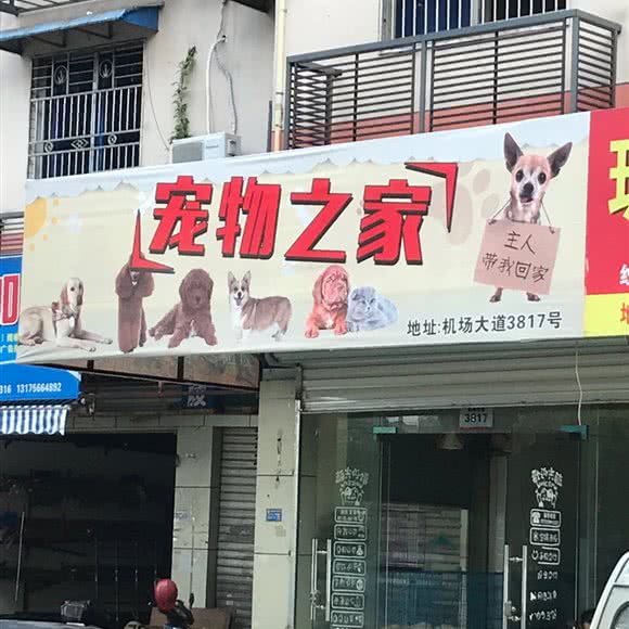 宠物之家(机场大道店):温州市龙湾区状元附近