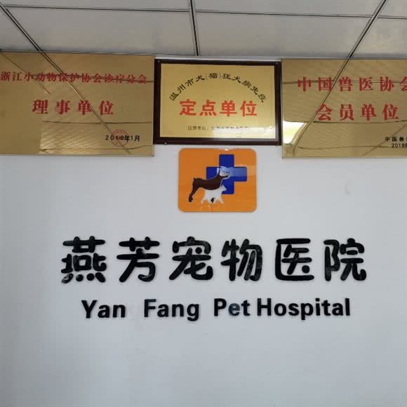 燕芳宠物医院(永中店):温州市龙湾区永中附近