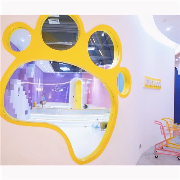 petpetcool宠宠库宠物潮玩体验馆(温州吾悦广场店):温州市龙湾区上江附近