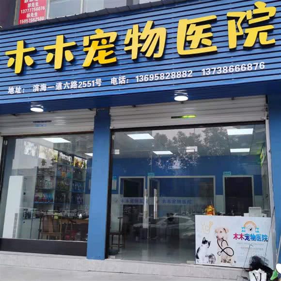 木木宠物医院:温州市龙湾区滨海园区附近