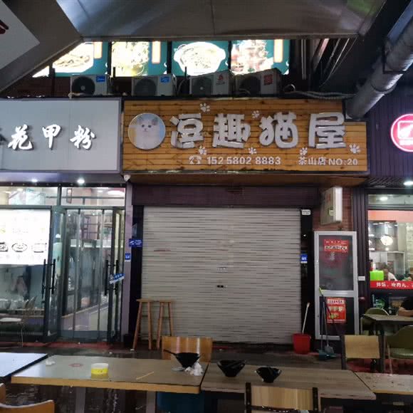 逗趣猫屋:温州市瓯海区大学城附近