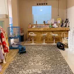 猫殿居:温州市瓯海区大学城附近