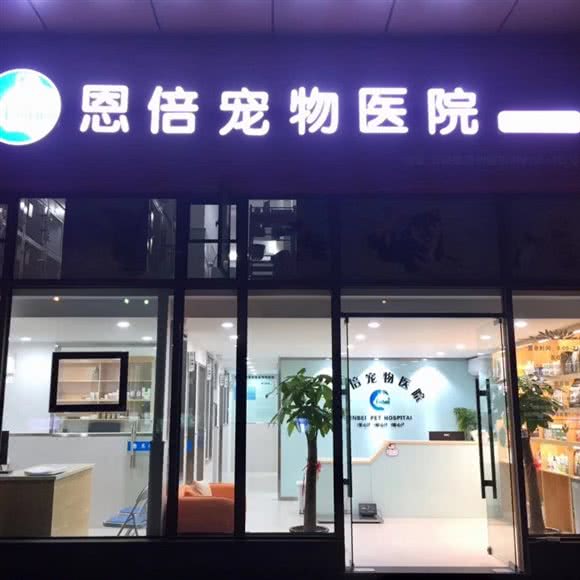 安倍宠物医院:温州市瓯海区娄桥附近