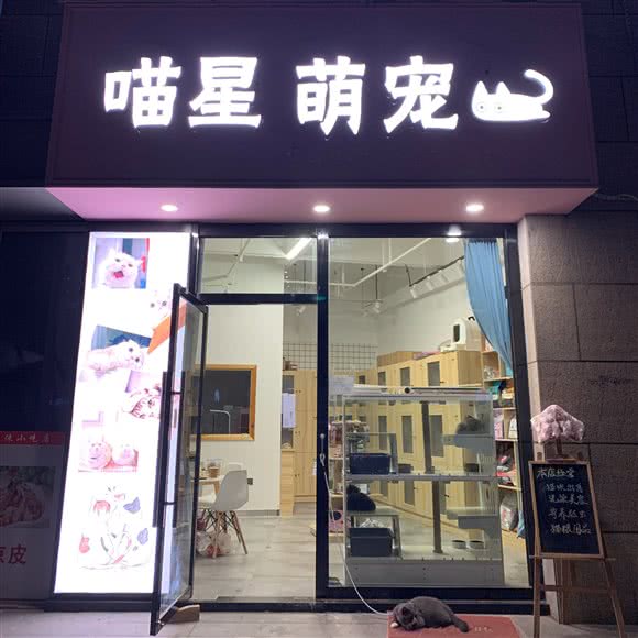 喵星萌宠:温州市瓯海区华润万象城附近