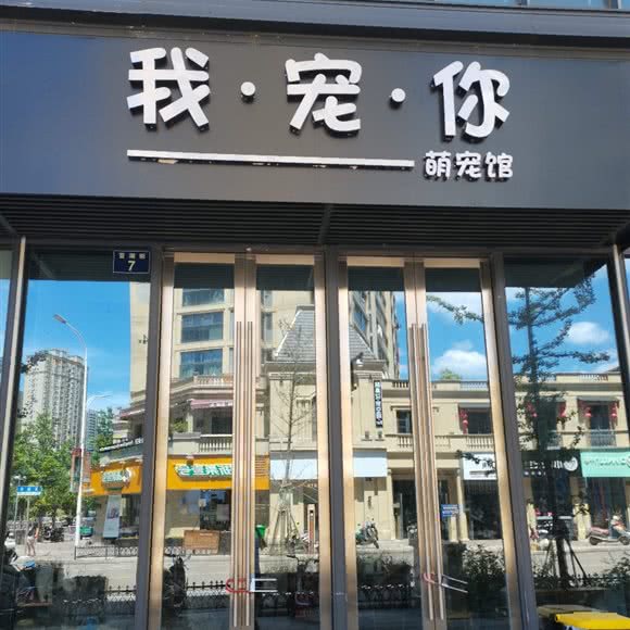 我宠你萌宠生活馆:温州市文成县文成县附近