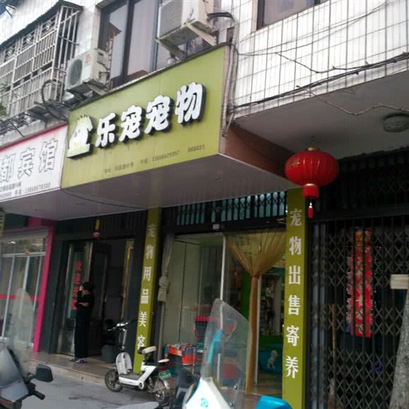 乐宠宠物:温州市文成县文成县附近