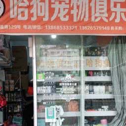 哈狗俱乐部(伯温路店):温州市文成县文成县附近