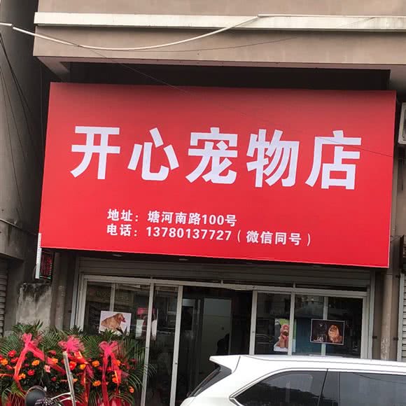 开心宠物店:温州市瑞安市安阳街道附近