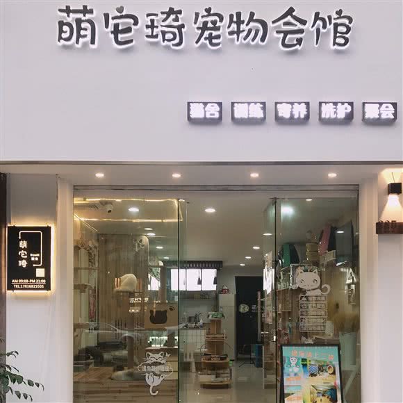 萌它琦宠物会馆Kowill猫舍:温州市瑞安市安阳街道附近