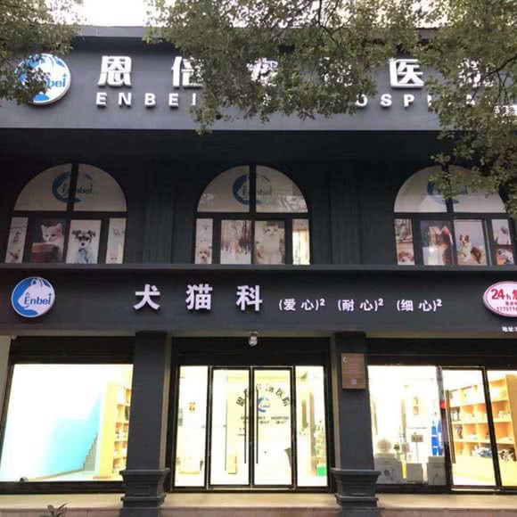 恩倍宠物医院:温州市瑞安市安阳街道附近