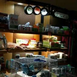 宠爱有家:温州市乐清市乐成镇附近