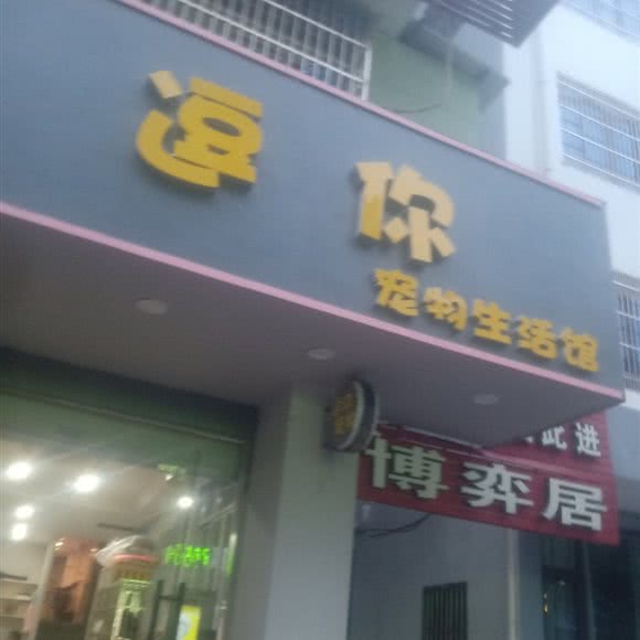 逗你宠物生活馆:温州市乐清市乐成镇附近
