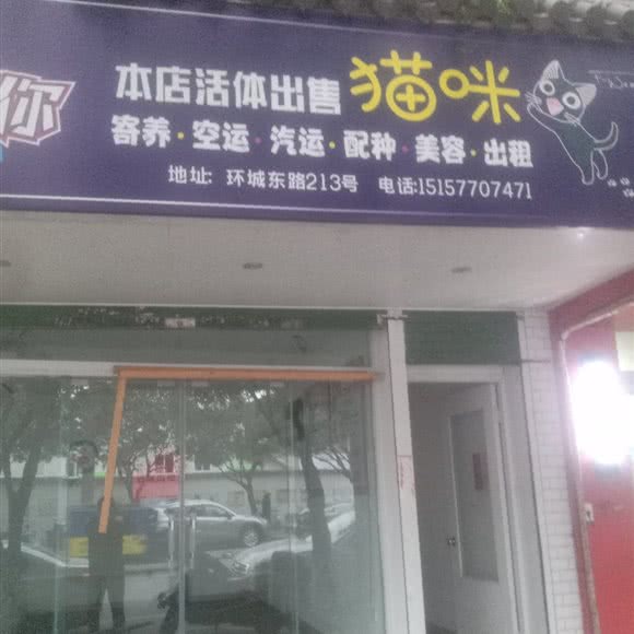 狗狗:温州市乐清市乐成镇附近