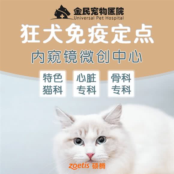 金民宠物医院·猫科中心·内窥镜中心·心脏科中心:温州市乐清市乐成镇附近
