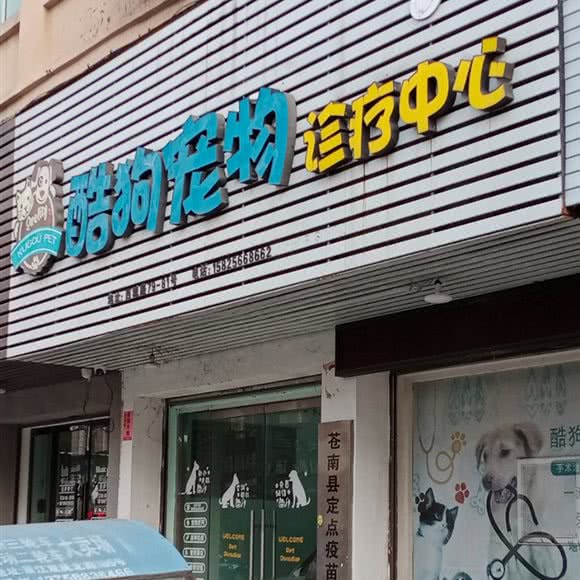 酷狗宠物:温州市龙港市龙港市附近