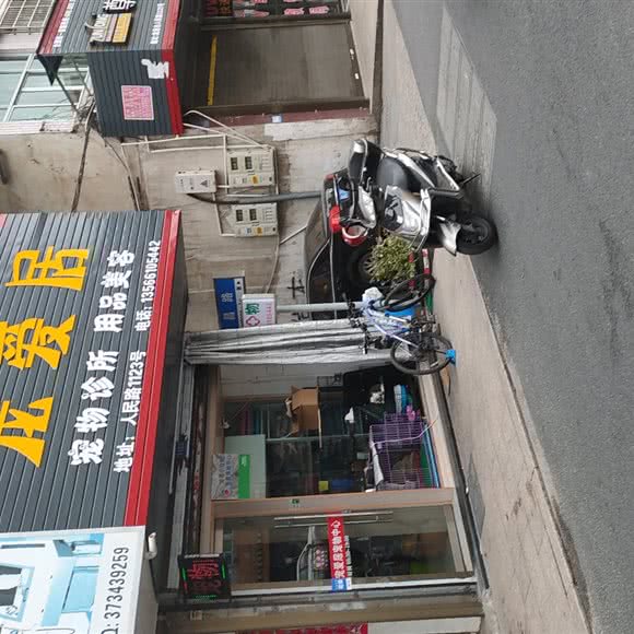 宠爱居:温州市龙港市龙港市附近