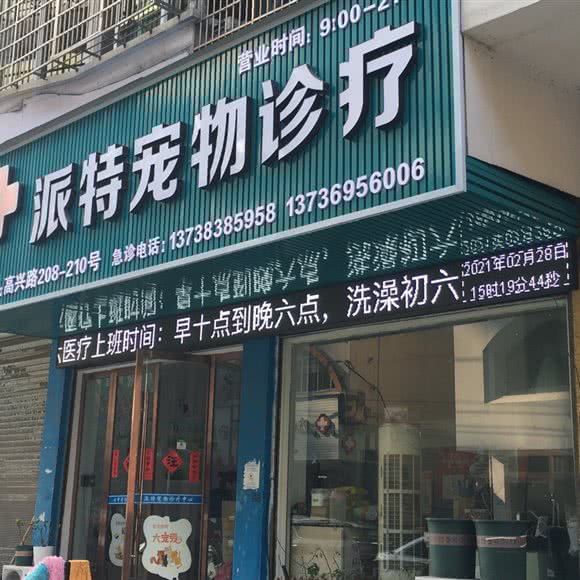 派特宠物诊疗:温州市龙港市龙港市附近