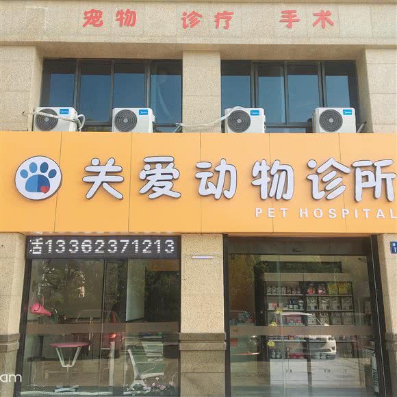 关爱动物诊所:嘉兴市南湖区万达广场附近