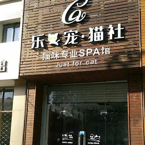 乐宠猫社:嘉兴市南湖区中山西路附近