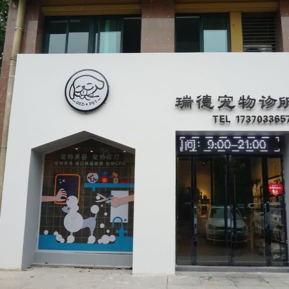 瑞德宠物诊所:嘉兴市南湖区协和广场附近