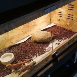 异.宠境:嘉兴市南湖区三水湾附近