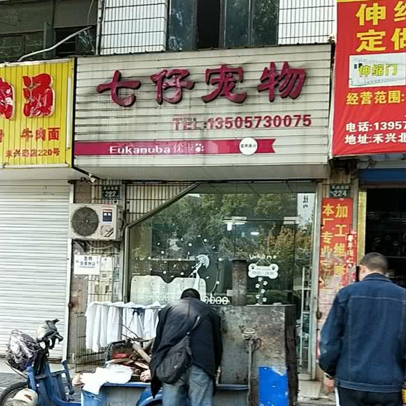 七仔狗狗:嘉兴市南湖区禾兴路附近