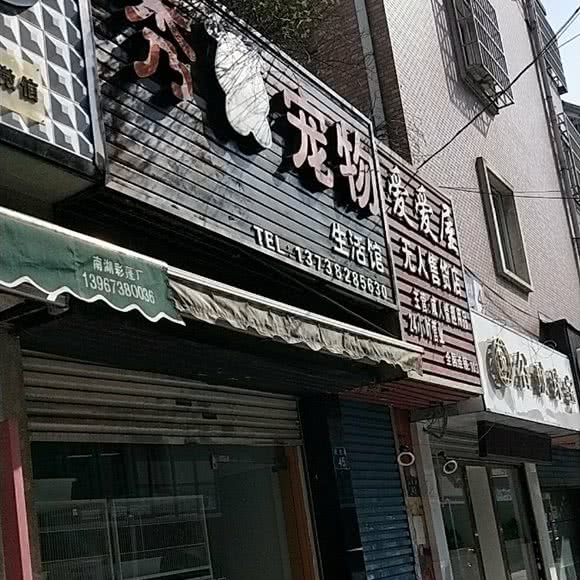 秀宠物生活馆:嘉兴市南湖区禾兴路附近