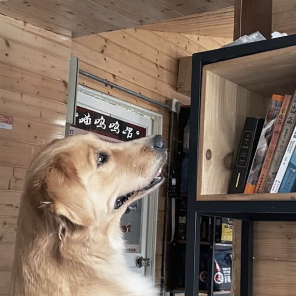 汪言喵语:嘉兴市南湖区中润丽丰新天地附近