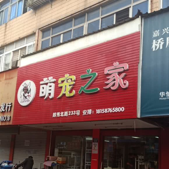 萌宠之家:嘉兴市南湖区越秀北路附近