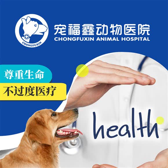 宠福鑫动物医院(天通苑动物疾病诊疗中心):北京城区昌平区天通苑附近