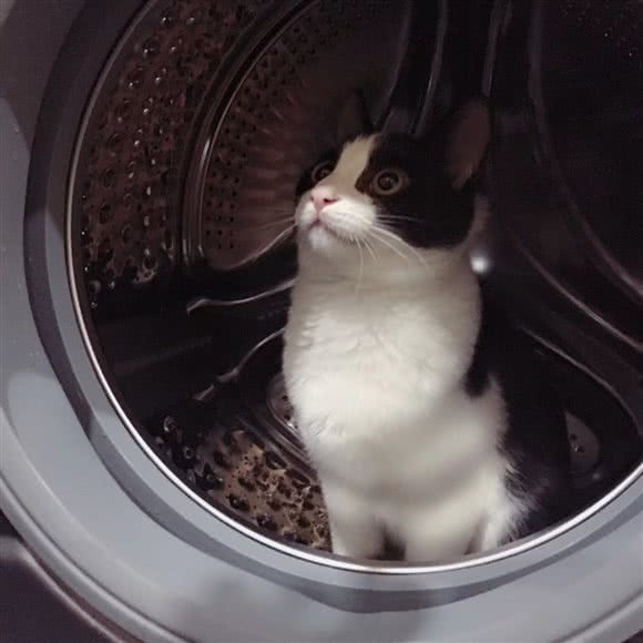 Qpet宠物生活馆:嘉兴市南湖区余新镇附近